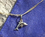 Kinderschmuck  Gold-Anh�nger Delphin